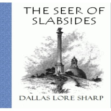 The Seer of Slabsides The Seer of Slabsides
